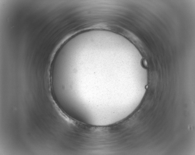 X0000068720808200605051431