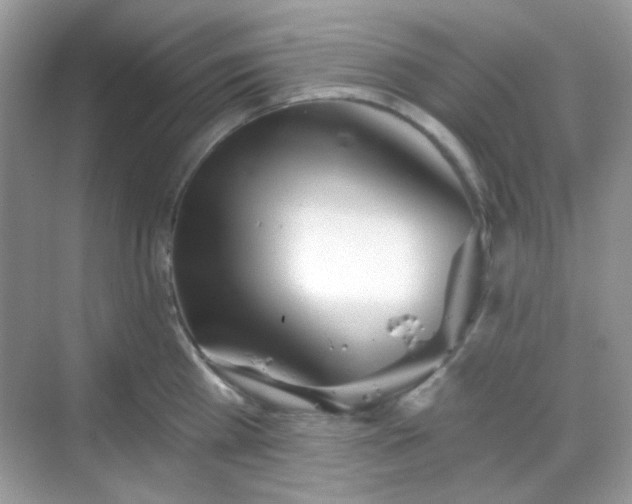 X0000068720809200605051431