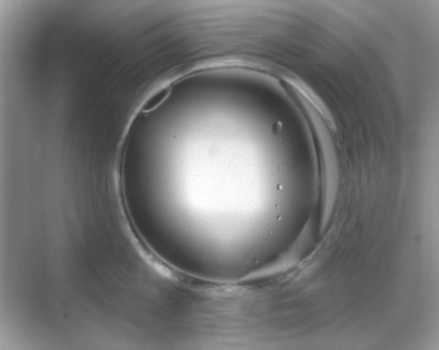 X0000068720813200605051431