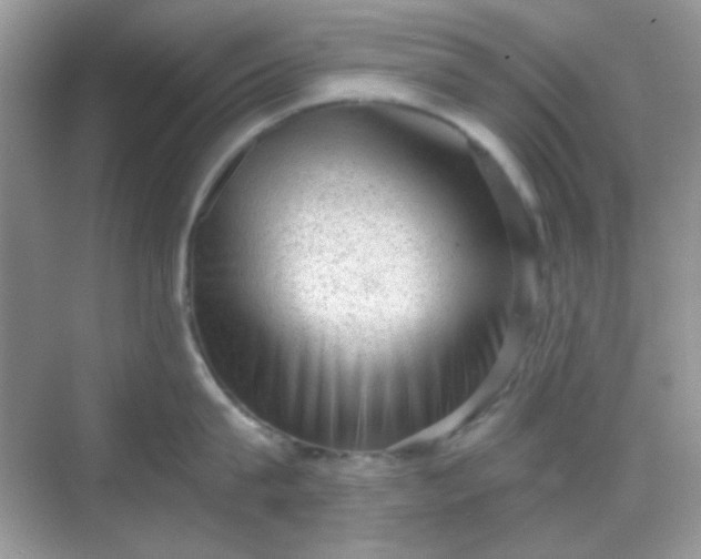 X0000068720815200605051431