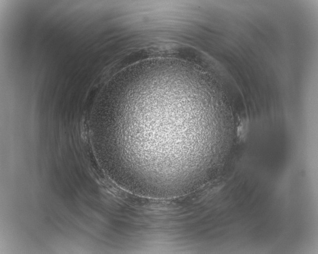 X0000068720819200605051430