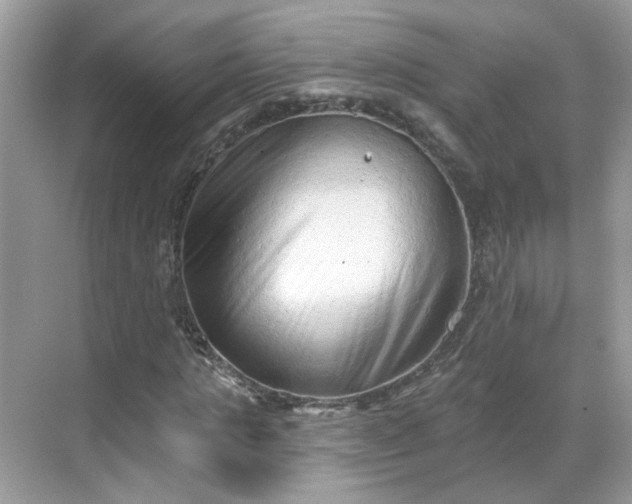 X0000068720821200605051431