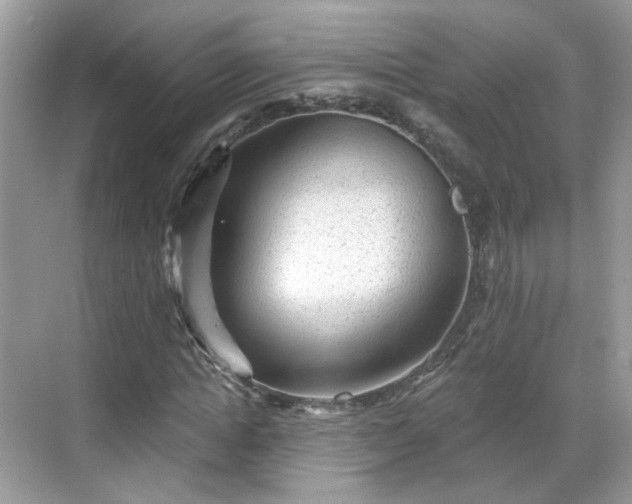 X0000068720822200605051431