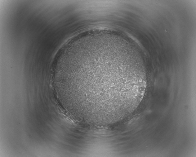 X0000068720823200605051431