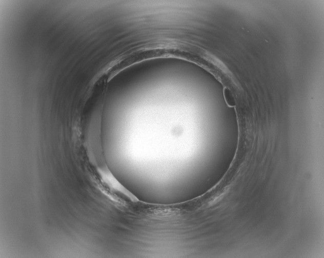 X0000068720826200605051431