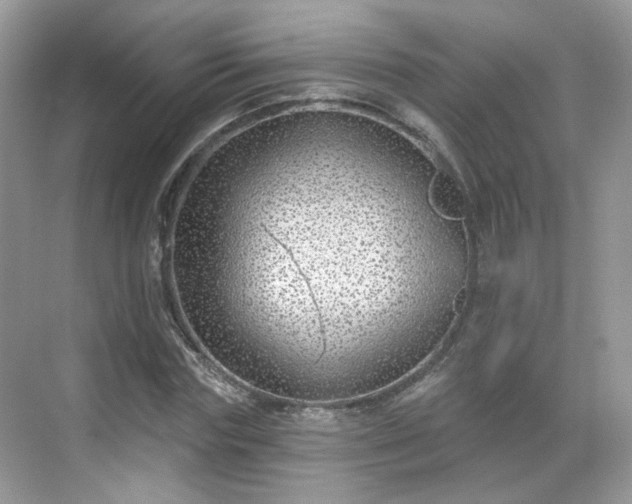 X0000068720827200605051431