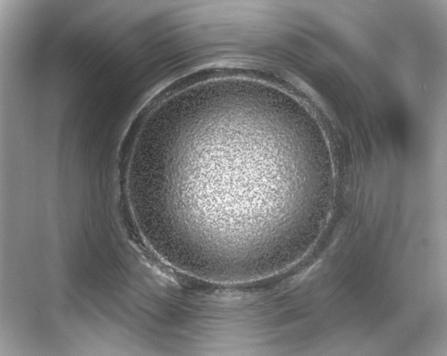 X0000068720829200605051431