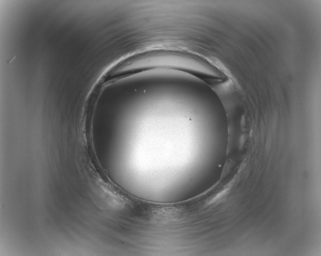 X0000068720830200605051431