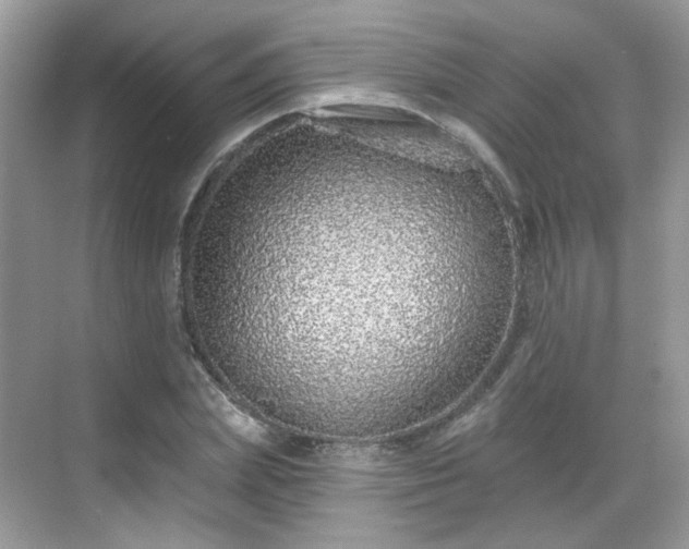 X0000068720831200605051431