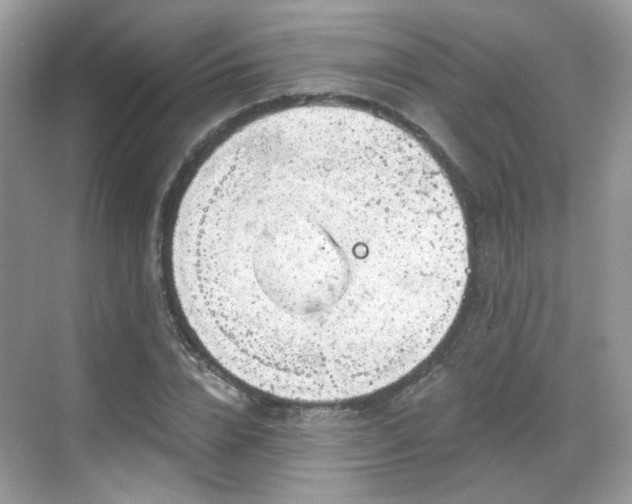 X0000068720832200605051431