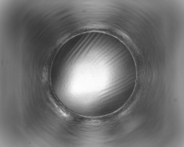 X0000068720833200605051431