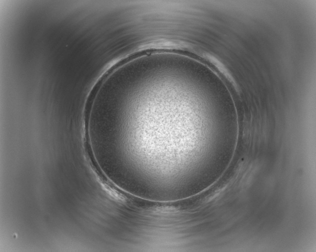 X0000068720837200605051431