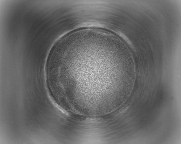 X0000068720840200605051431