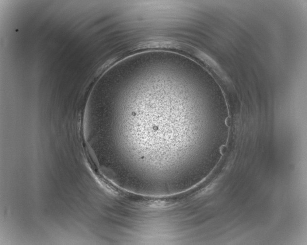 X0000068720841200605051431