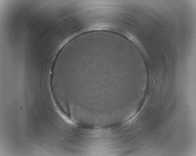 X0000068720842200605051431