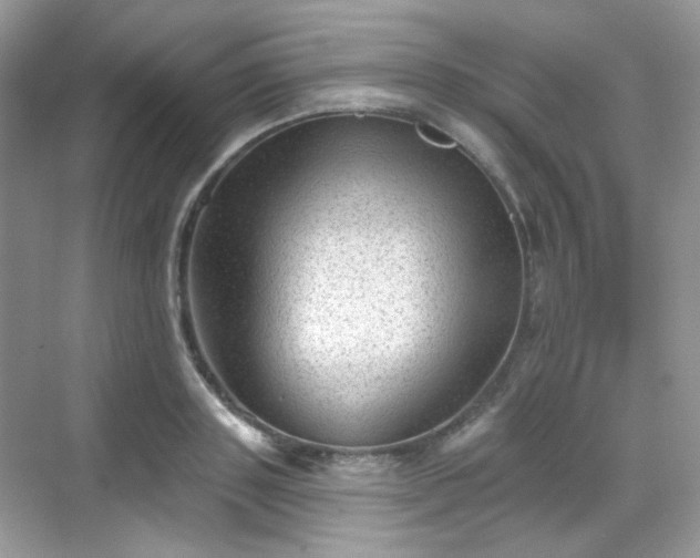 X0000068720843200605051431