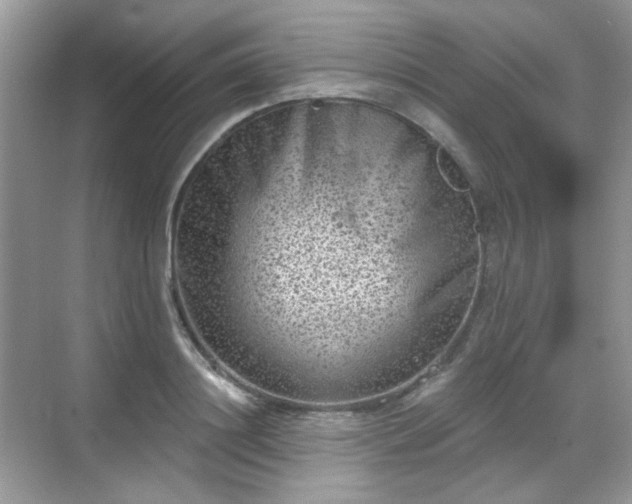 X0000068720844200605051431