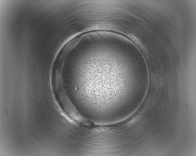 X0000068720846200605051431