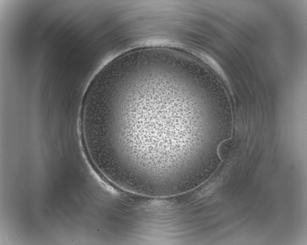 X0000068720847200605051431