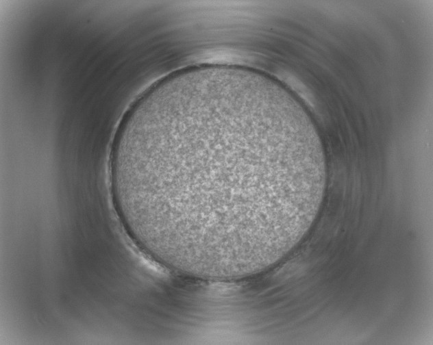 X0000068720848200605051431