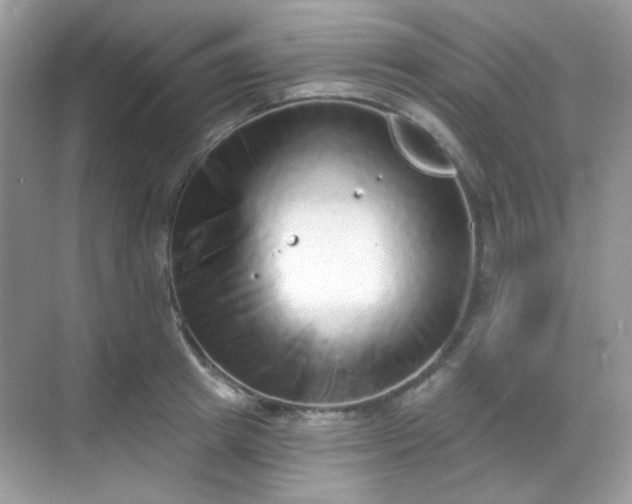 X0000068720849200605051431