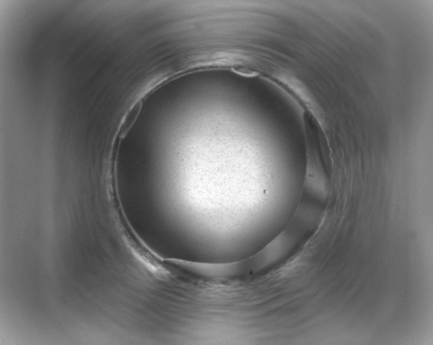 X0000068720850200605051431