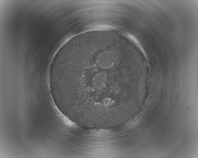 X0000068720851200605051431