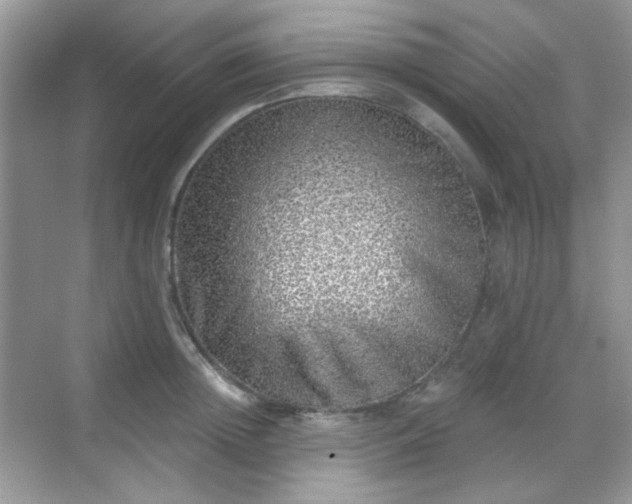 X0000068720852200605051431