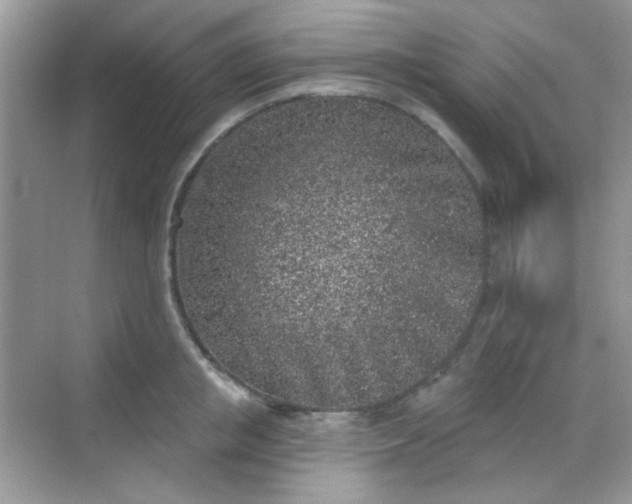 X0000068720853200605051431