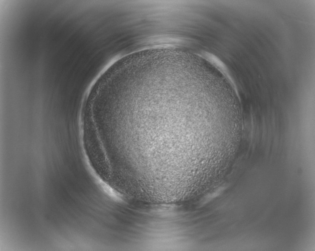 X0000068720859200605051431