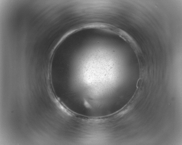 X0000068720860200605051431