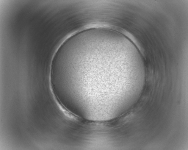 X0000068720861200605051431