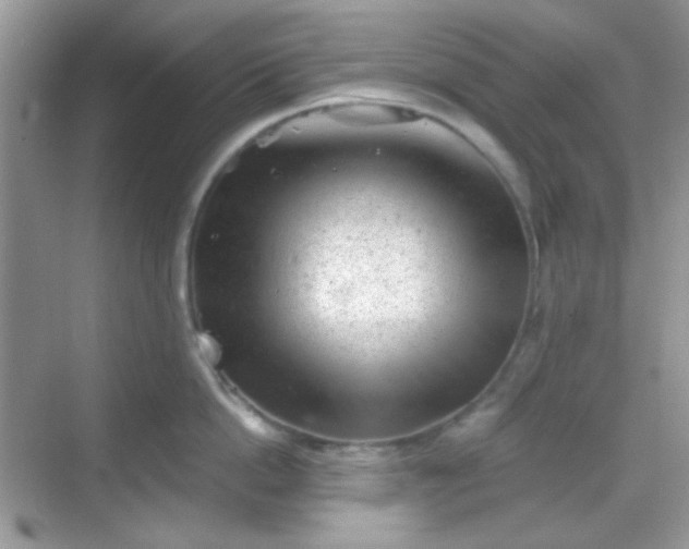 X0000068720862200605051431