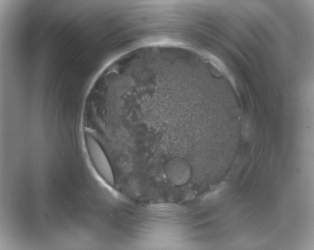 X0000068720863200605051431