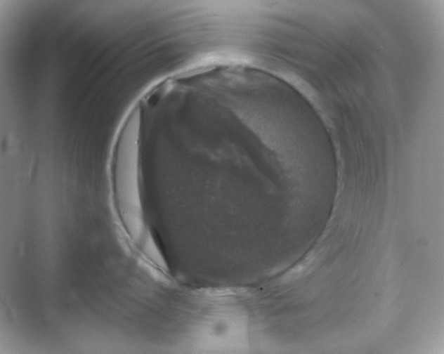 X0000068720864200605051431