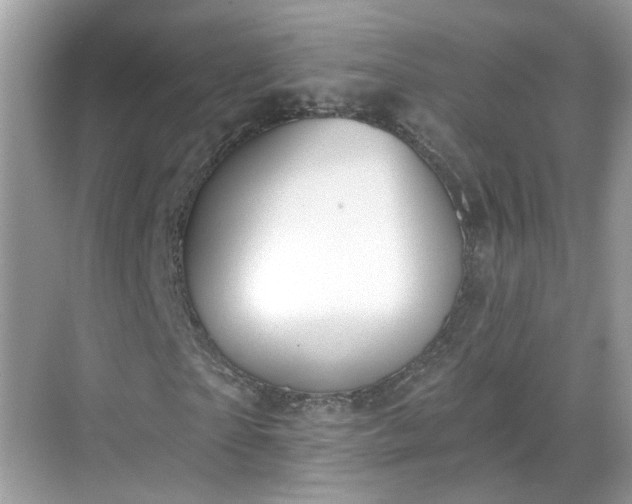 X0000068720865200605051430