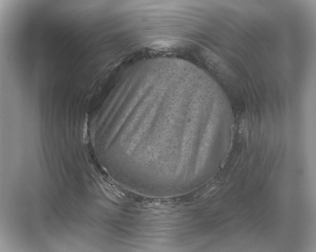 X0000068720868200605051430