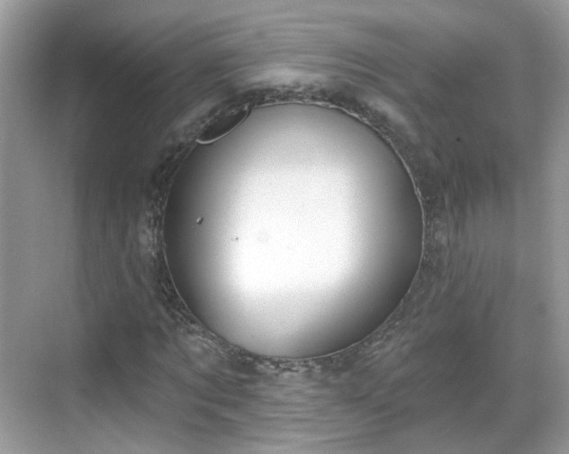 X0000068720869200605051430