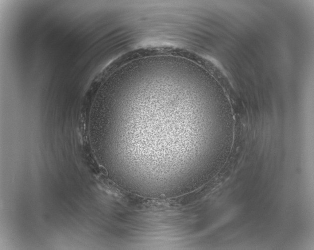 X0000068720871200605051430