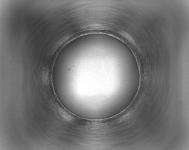 X0000068720873200605051430