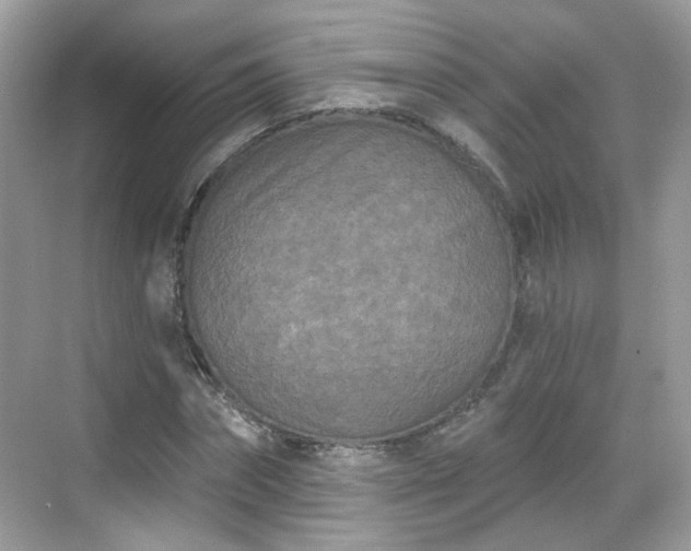 X0000068720874200605051430