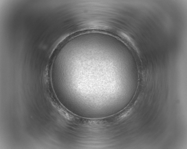 X0000068720875200605051430