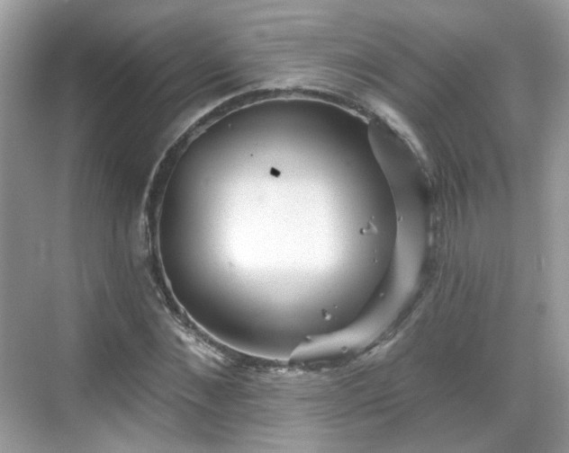 X0000068720876200605051430