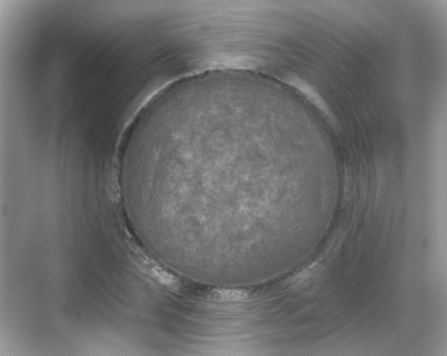 X0000068720878200605051430