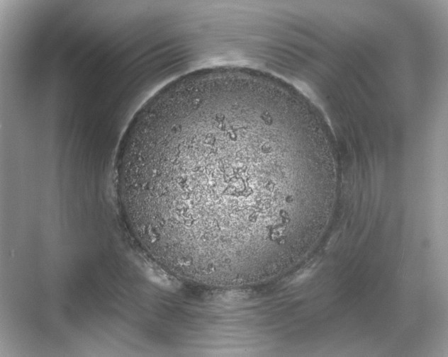 X0000068720879200605051430