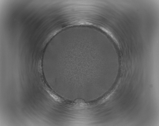 X0000068720881200605051430