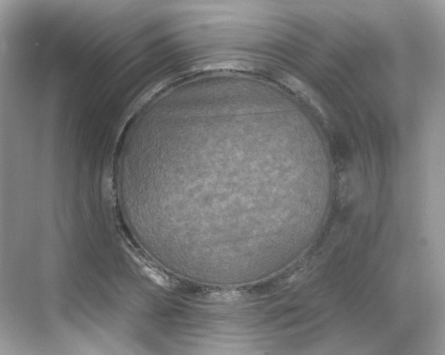 X0000068720882200605051430