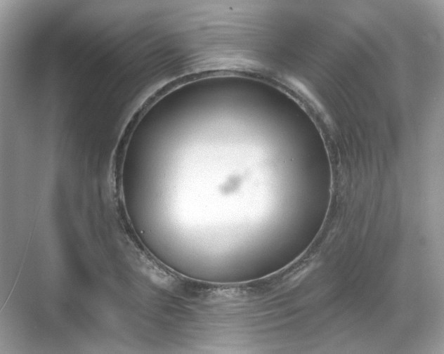 X0000068720883200605051430