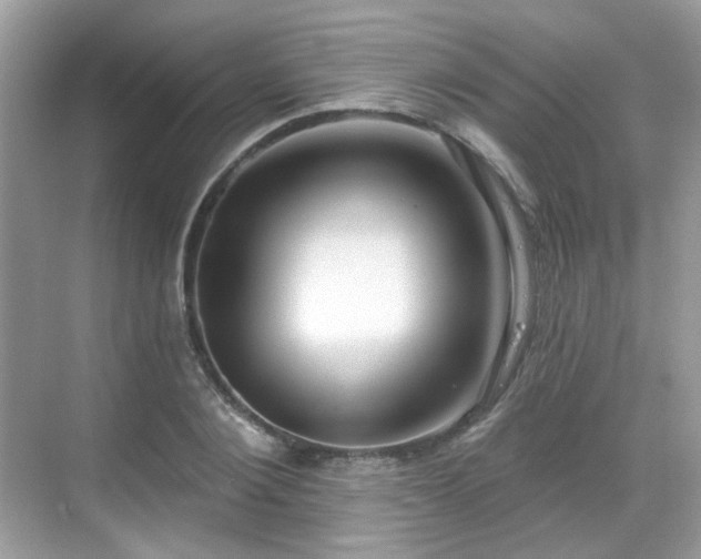 X0000068720884200605051430