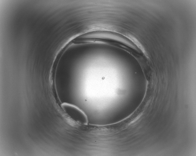 X0000068720885200605051430